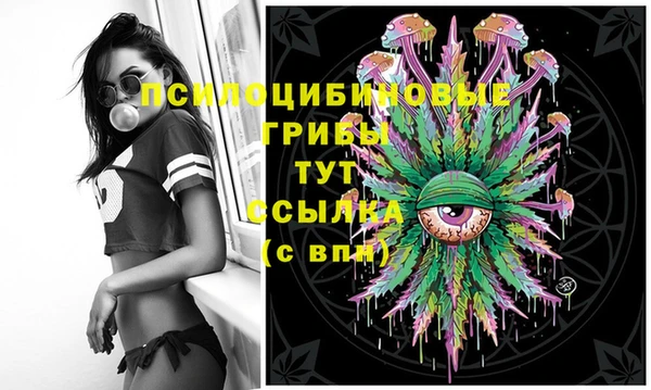 прущая мука Пестово