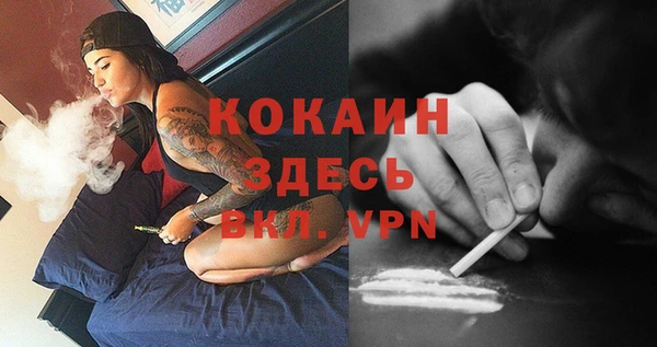 ПСИЛОЦИБИНОВЫЕ ГРИБЫ Остров