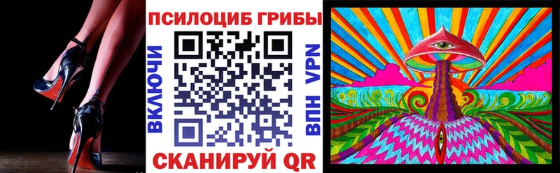 кракен вход  Камешково  Галлюциногенные грибы Cubensis 
